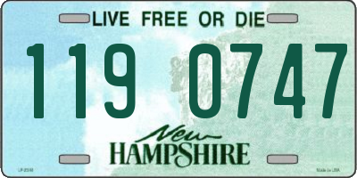 NH license plate 1190747