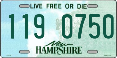 NH license plate 1190750