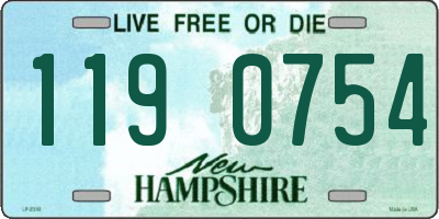 NH license plate 1190754