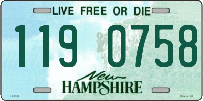 NH license plate 1190758