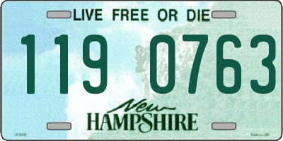NH license plate 1190763