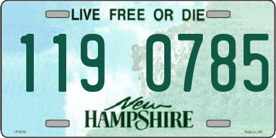 NH license plate 1190785