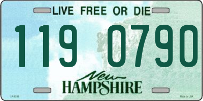 NH license plate 1190790
