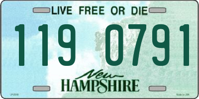 NH license plate 1190791