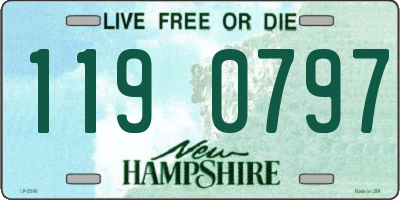 NH license plate 1190797