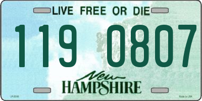 NH license plate 1190807