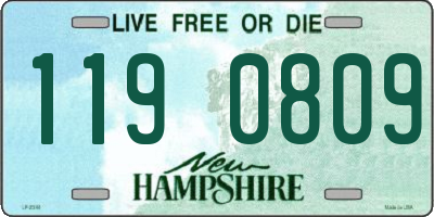 NH license plate 1190809