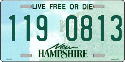 NH license plate 1190813