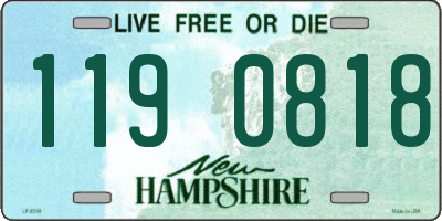 NH license plate 1190818