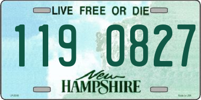 NH license plate 1190827