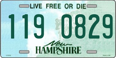 NH license plate 1190829
