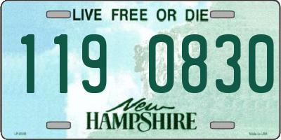 NH license plate 1190830