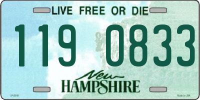 NH license plate 1190833