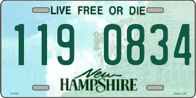 NH license plate 1190834