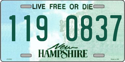 NH license plate 1190837