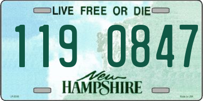 NH license plate 1190847
