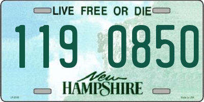 NH license plate 1190850
