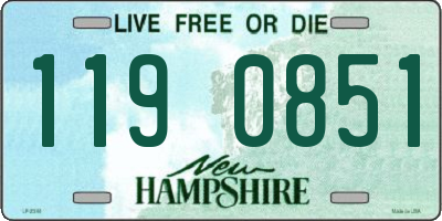 NH license plate 1190851