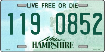 NH license plate 1190852