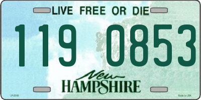 NH license plate 1190853