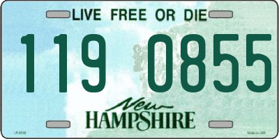 NH license plate 1190855