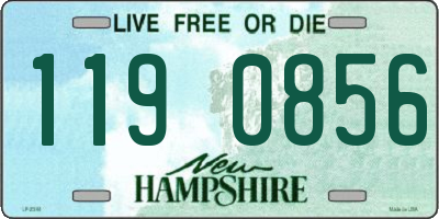 NH license plate 1190856