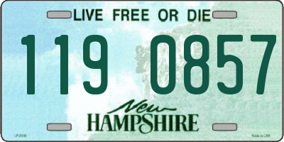 NH license plate 1190857