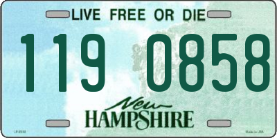 NH license plate 1190858