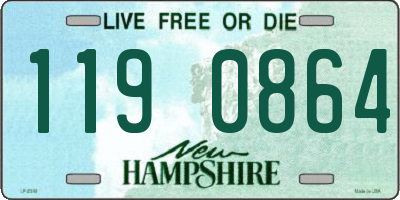 NH license plate 1190864