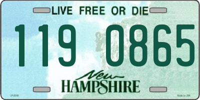 NH license plate 1190865
