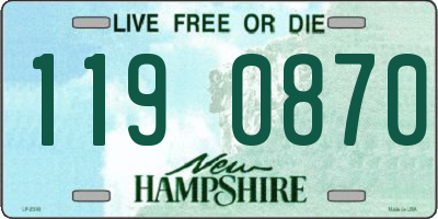 NH license plate 1190870