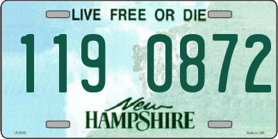 NH license plate 1190872
