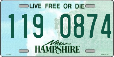 NH license plate 1190874