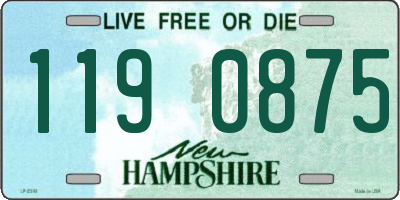 NH license plate 1190875