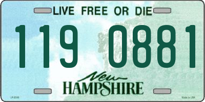 NH license plate 1190881