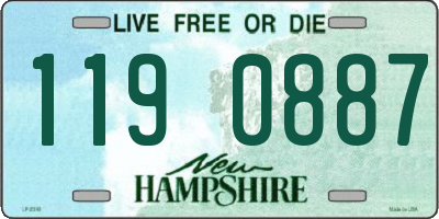 NH license plate 1190887