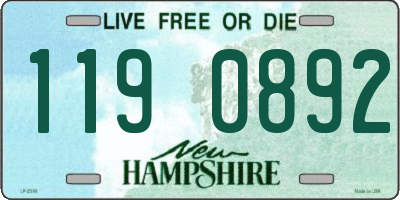 NH license plate 1190892