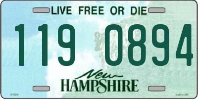 NH license plate 1190894