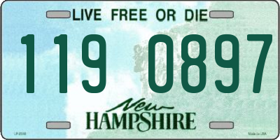 NH license plate 1190897