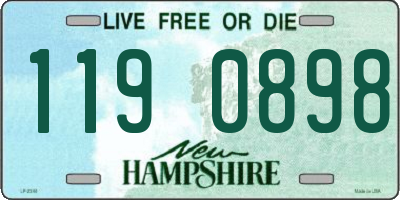 NH license plate 1190898