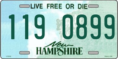 NH license plate 1190899