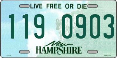 NH license plate 1190903