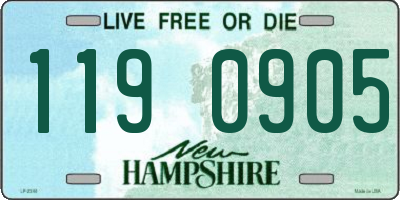 NH license plate 1190905