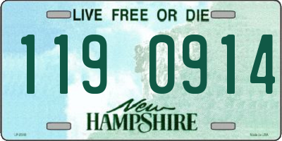 NH license plate 1190914