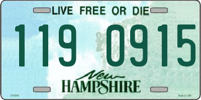 NH license plate 1190915