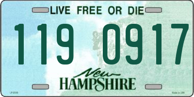 NH license plate 1190917