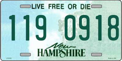 NH license plate 1190918