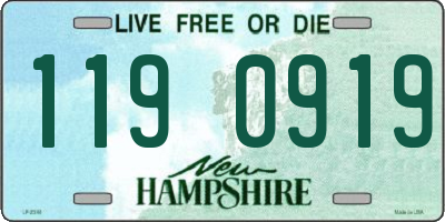 NH license plate 1190919
