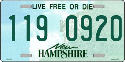 NH license plate 1190920