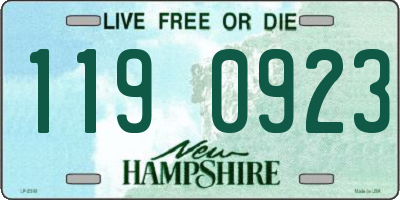 NH license plate 1190923
